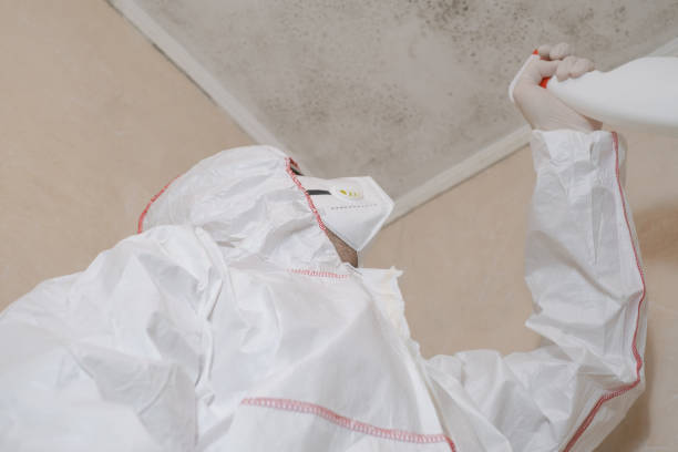 Best Insurance-Related Mold Remediation in Selbyville, DE